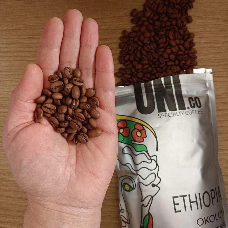 Hand of Alan Petasecca Donati Ethiopia Okoluu specialty coffee beans - UNICO Natural Process