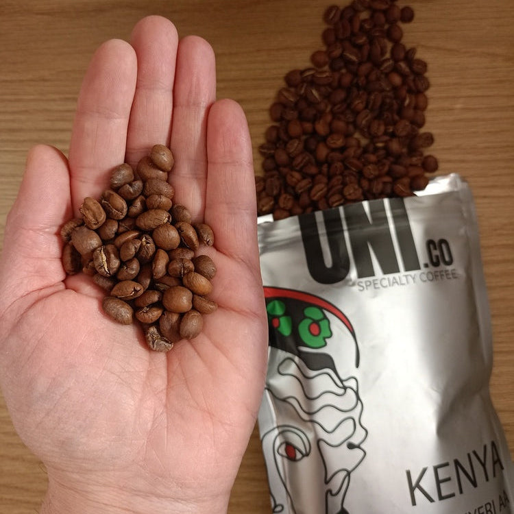 Hand of Alan Petasecca Donati holding Kenya Nyeri AA light roast specialty coffee beans - UNICO Specialty Quality